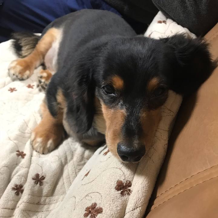 E0675223 4dc3 47b9 8e0d 2fc1c36dedea 1541973728592