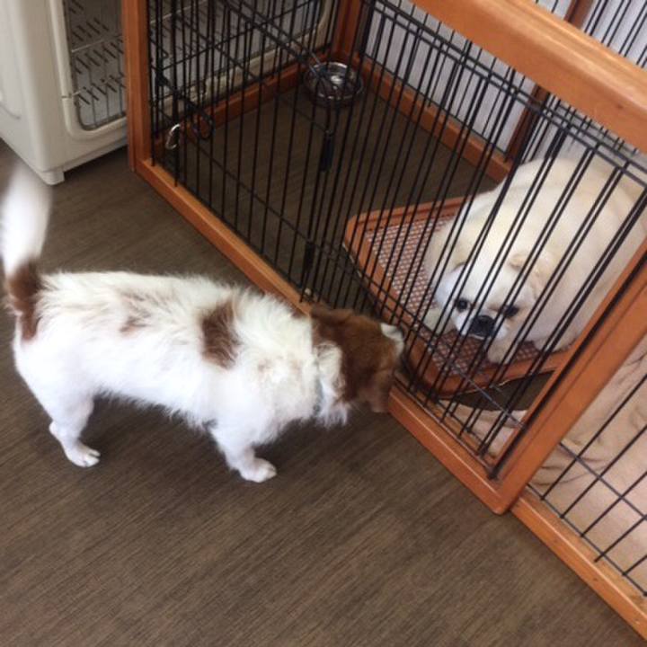 E06784e6 9ffa 4dbb b87a 0ea5a6553e5a 1549711594146