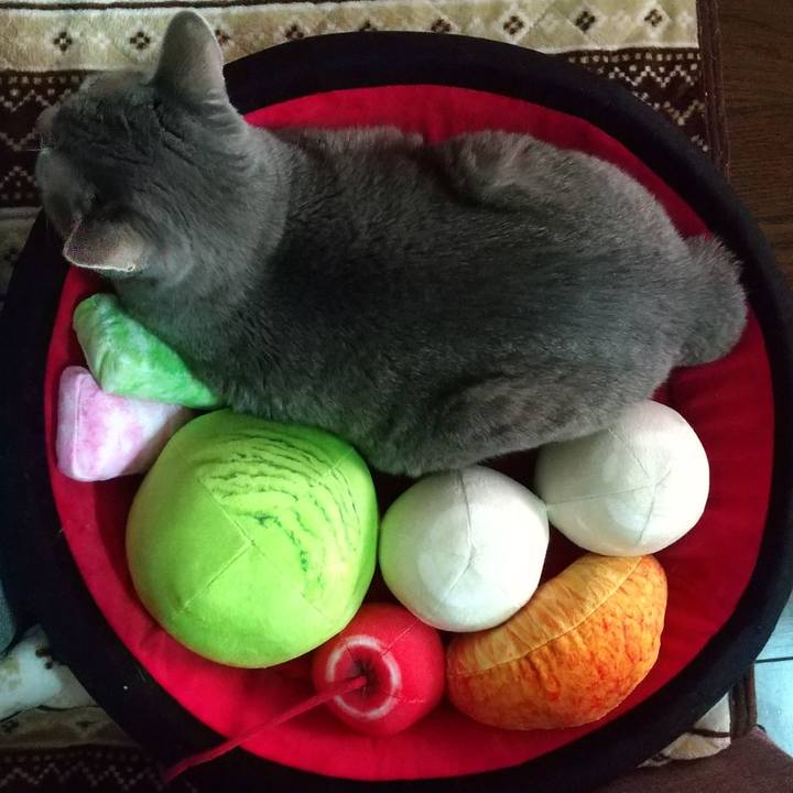 E067c7b4 b0bf 4248 b2eb ccb0f60f4e4a 1667702647588