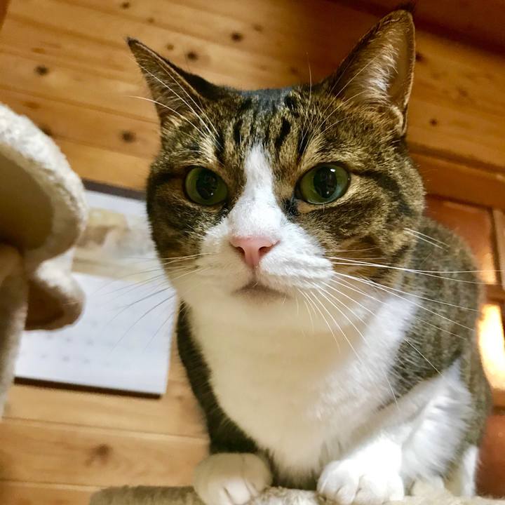 E067cae7 4fb1 48c9 a47b 5b4b5d3542d0 1534427873239