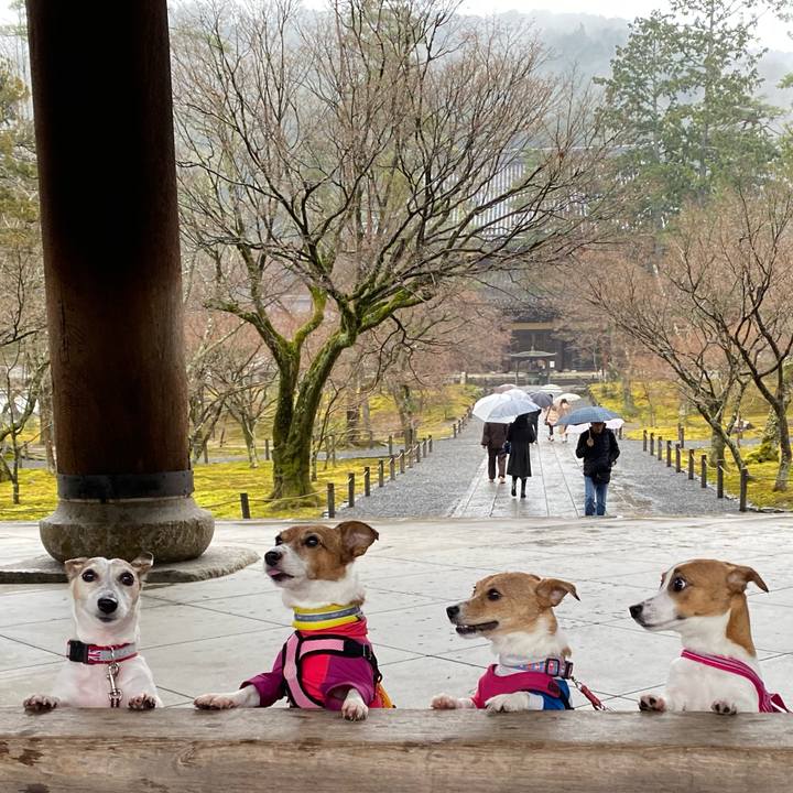 E067f1cc 1a66 4e78 8ded a917771df375 1582535138127