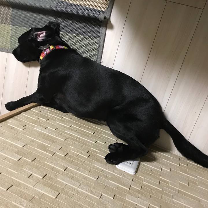 E06801dc 71ff 4781 837d 18019c22c184 1532989289460