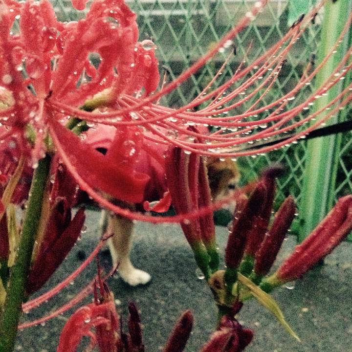 E0687741 409f 4ece b8bf 901ac2c9764a 1537434475068