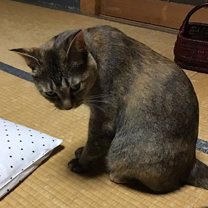 E068b973 cb06 494d 8ef7 917197da6b42 1628420302068