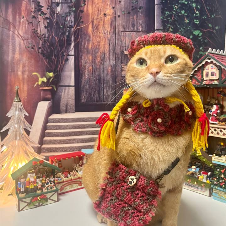 E06905dc 0c66 46c2 9ebe fc2a40eccbec 1669714924430