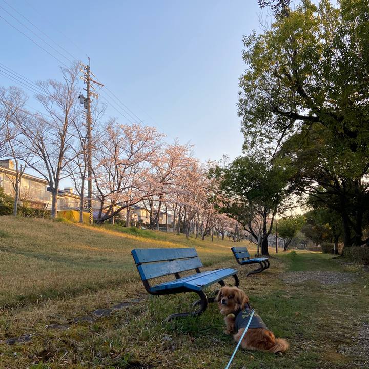 E0692b27 b8a9 46fc bb51 c2f535ecaac6 1649107671081