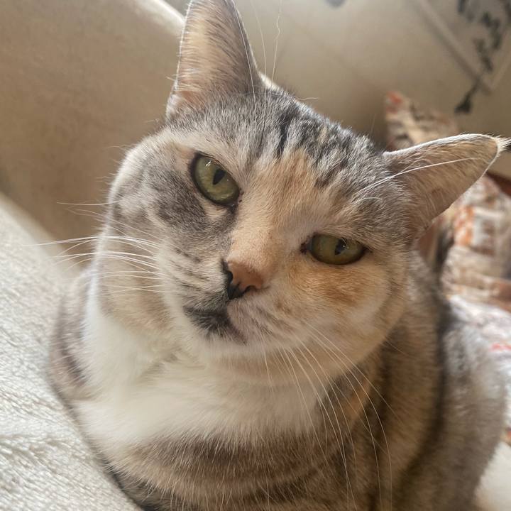 E06936c1 76b7 4008 ac58 73675b3ef846 1683073804353