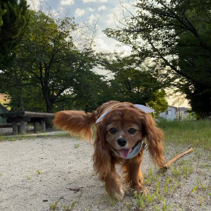 E069492c 695a 4948 b077 3a23fb5b6d31 1722640222097