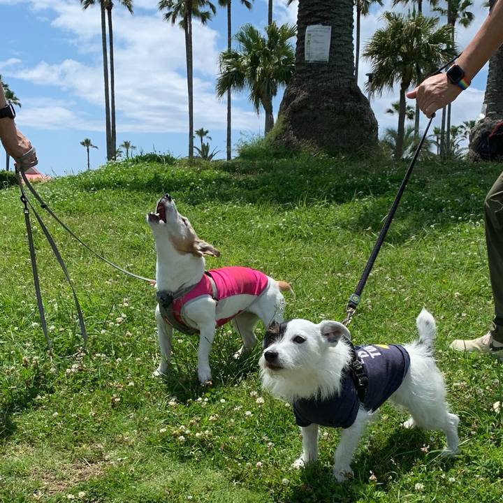 E0697058 7578 469a 9c20 bb3e84e8532d 1653204995220