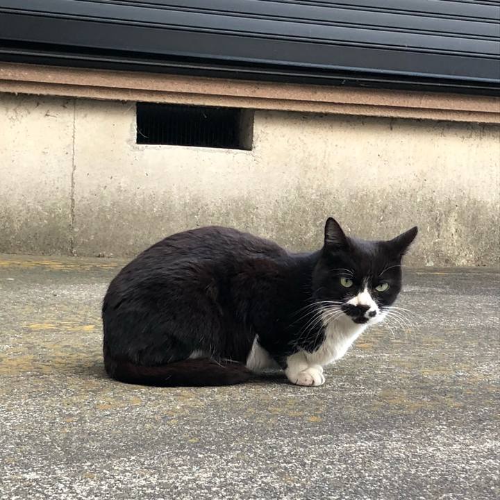 E06978bf 1bd8 493f 87ab 8756b5db9341 1552590106539