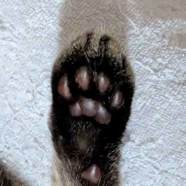 E069afad fe11 49c1 bba5 f42b2e478edc 1757059623931