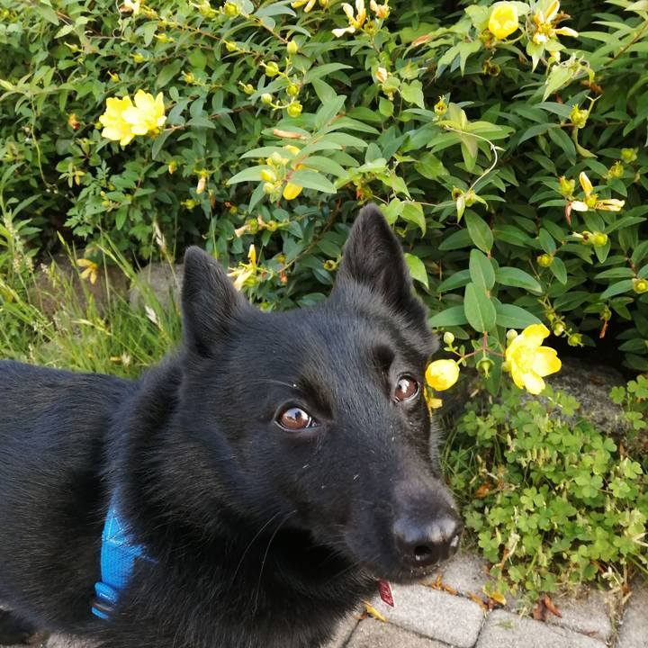 E069da7b 96b8 4087 b0c8 65319e17da05 1623359535393