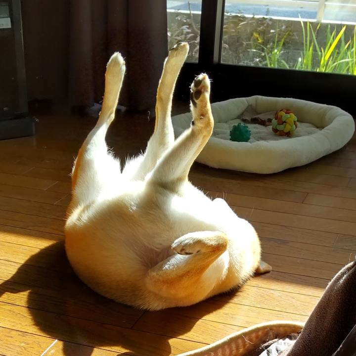 E069dfb4 7eeb 42ee a5af 5e2c6865bb6b 1644465722261