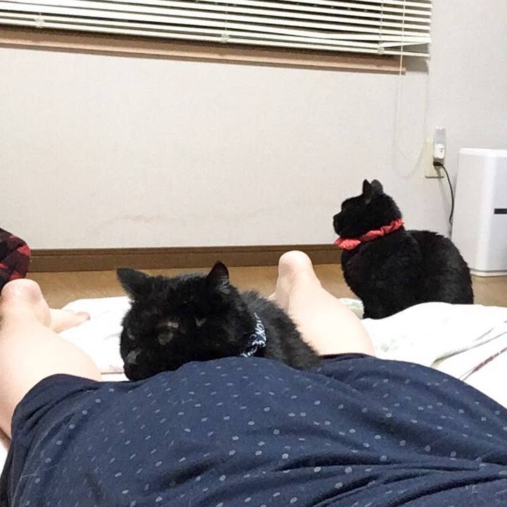 E06a1b2d 4427 48db 8f20 5d72a66468fe 1546167333395