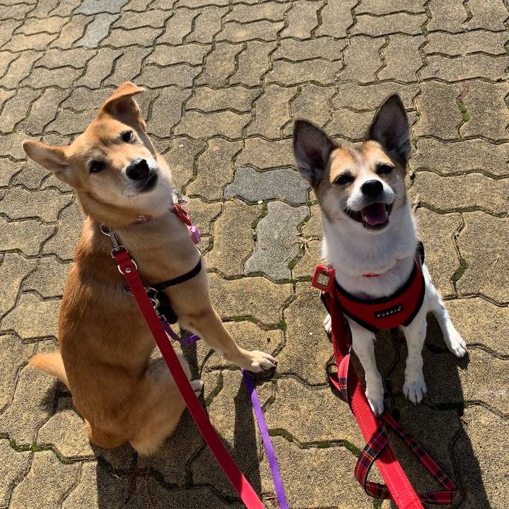 E06a7990 cf63 42f3 8807 c3d02c1418a8 1573005182442