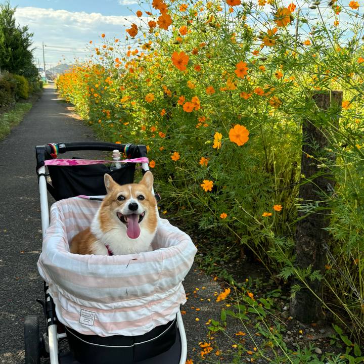 E06ad296 98fb 494a a8f1 199b1995c04d 1726796505465