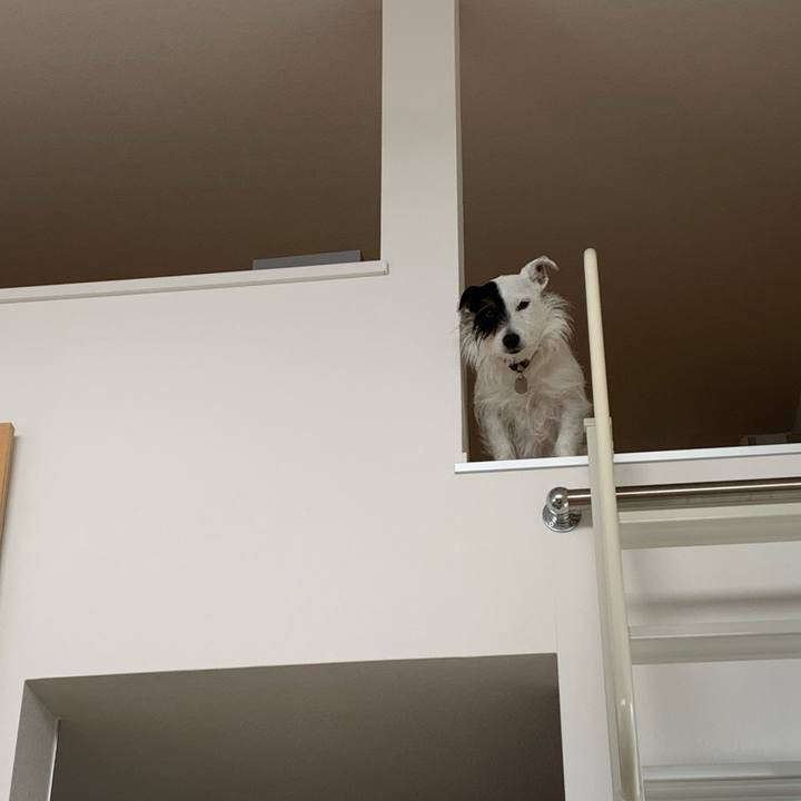 E06ae1b8 4fbe 4754 bf14 df197d73670f 1584330058349