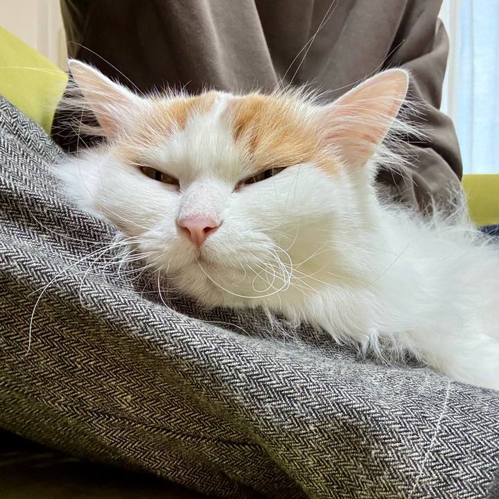 E06b2de7 e3d7 42f9 9959 7d8cd8607510 1767670978518