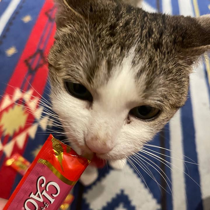 E06b5da4 1dc8 4206 9226 9db1f29fedaf 1628329865143