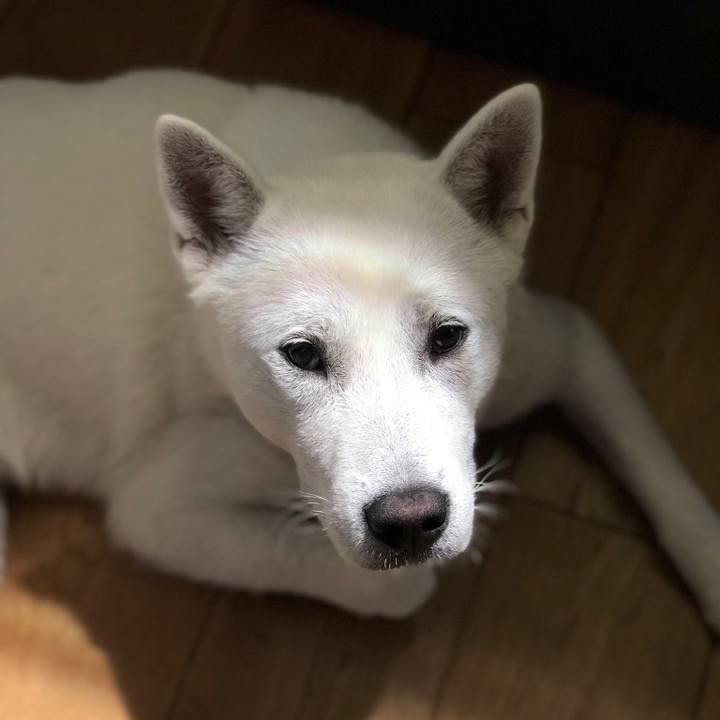 E06b92c6 0982 430c 9349 87b8b586b294 1524543894220