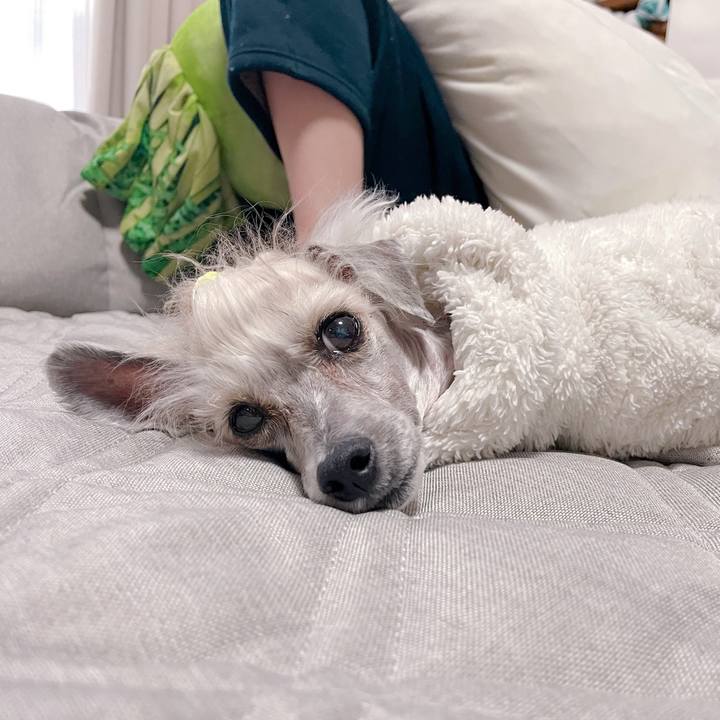 E06bbc2f 9b7d 49bc b992 8fd7d43b75ad 1764487975418