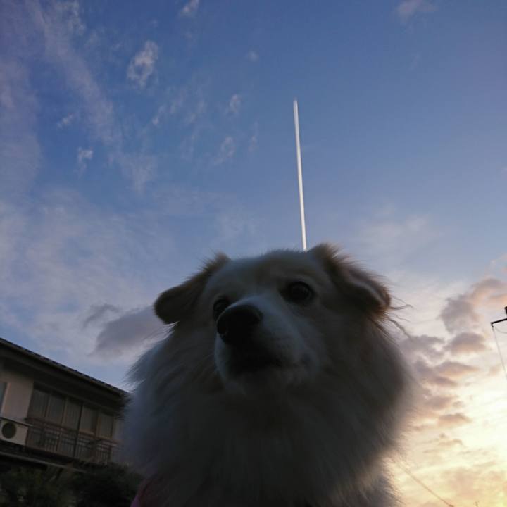 E06bbd71 4d6f 4654 829e 984eb32b15a2 1508274594423