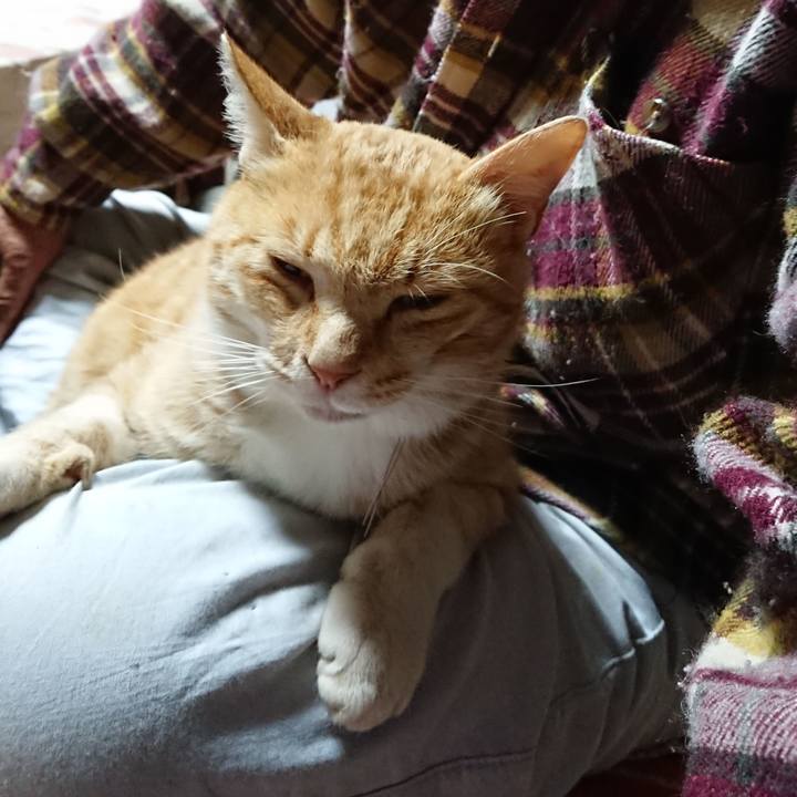 E06bcfcb 1c72 41ea 8c96 6087a9276375 1590091564873