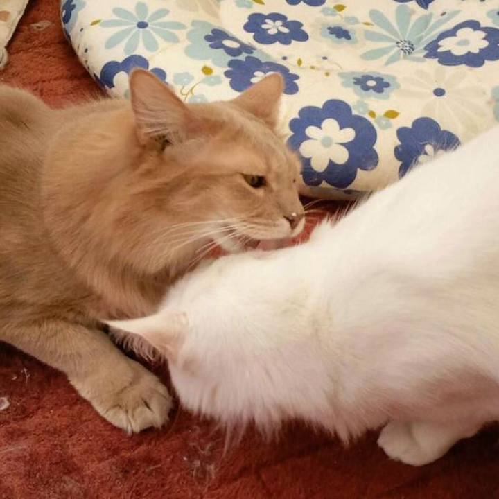 E06bd93d 217b 42c6 b83c f8e6acab87ed 1677811177049