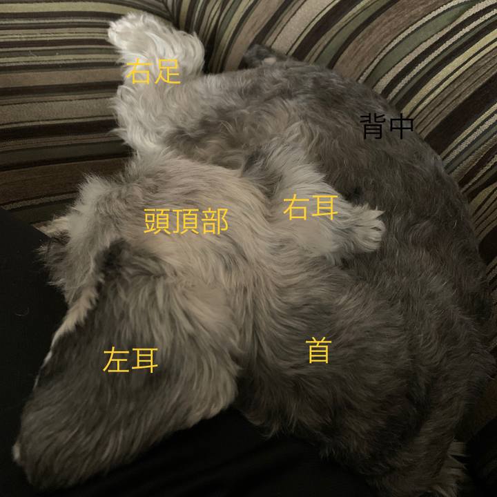 E06bebcb 839d 464d ac50 82f4b473af45 1621166530801