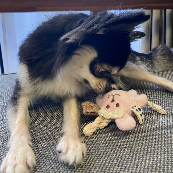 E06c080a b8e9 45d4 bc78 2ec1ba204074 1632374122783