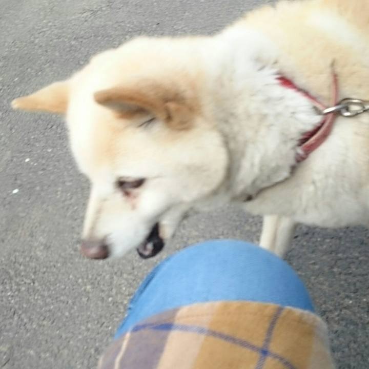 E06c1d80 2e4e 469d 9004 bcca8b6c2605 1521081825898