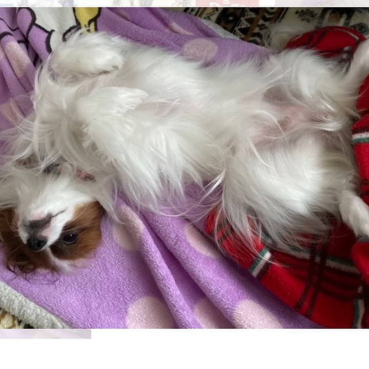 E06c37ba c32a 4712 8c8d bc057e1942ee 1636006648973