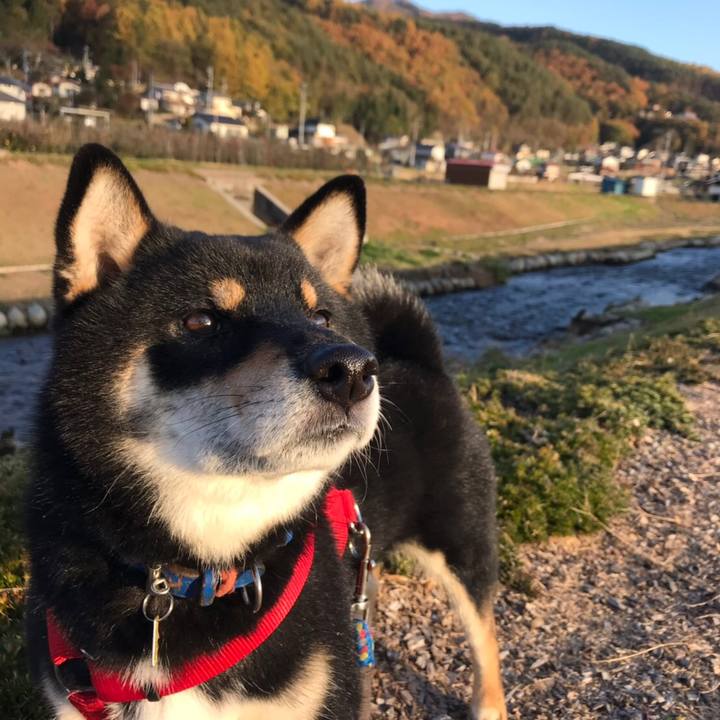 E06c5bec 98bb 4050 8d4b 893293896978 1573990536187