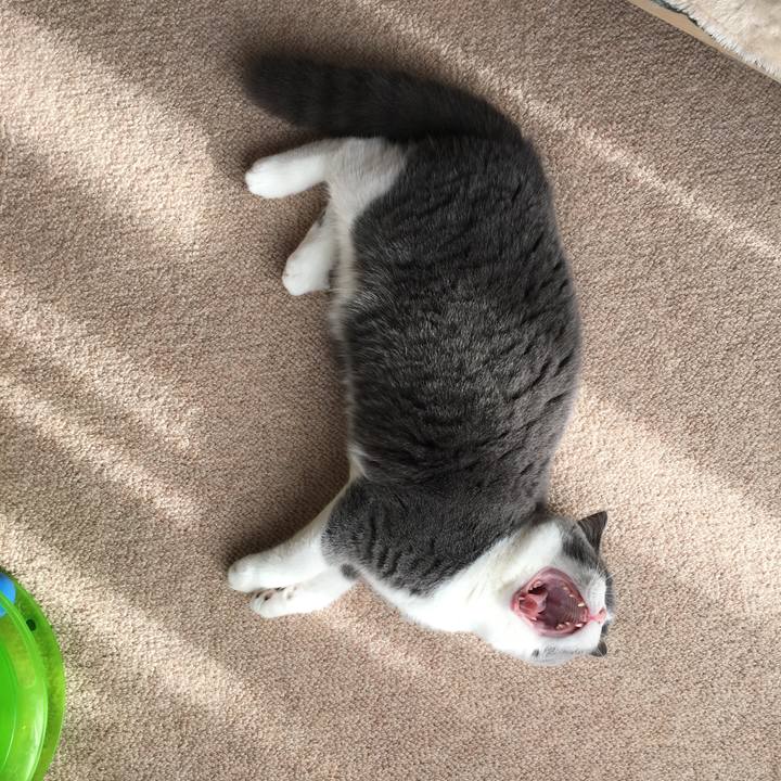 E06c8d13 380e 4a9b 955c 43bb44270d1e 1510464020878