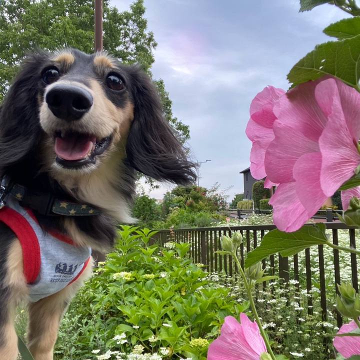 E06cbc44 1976 4ae3 8673 75f2acde49f1 1749344568275