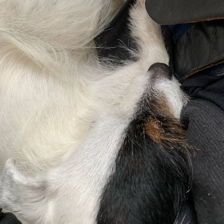 E06cc664 7beb 466b b0a6 ee072933b24e 1654676800983