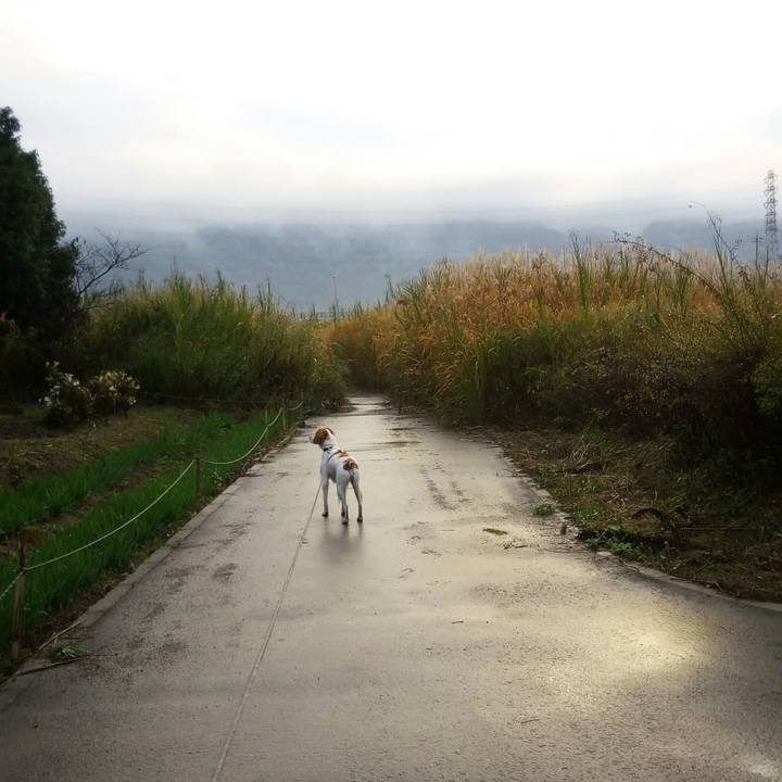 E06cf2a8 ecb4 4578 a7fd 6221d8bbfe2b 1511944248844