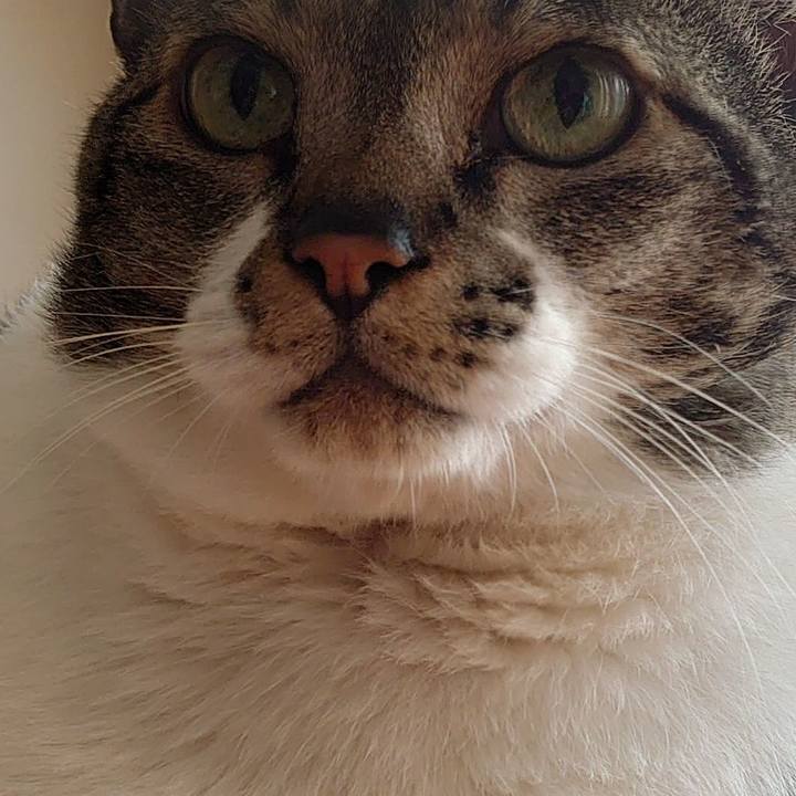 E06d1517 2a1e 4454 92f5 e85721def75b 1622846676009