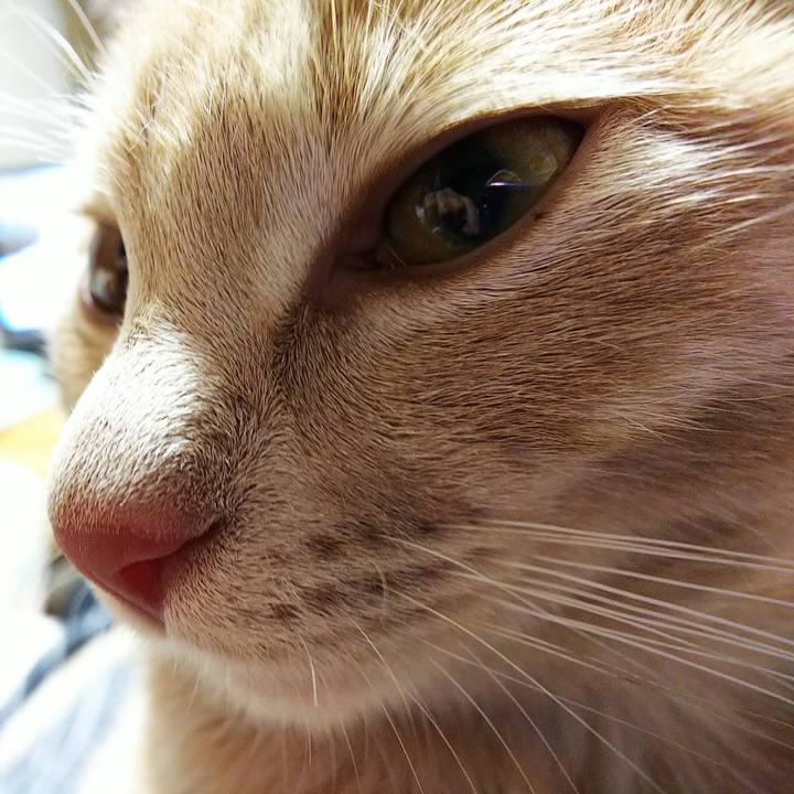 E06d2094 ebde 4265 94ab 9cf1de40a9e8 1544096130957