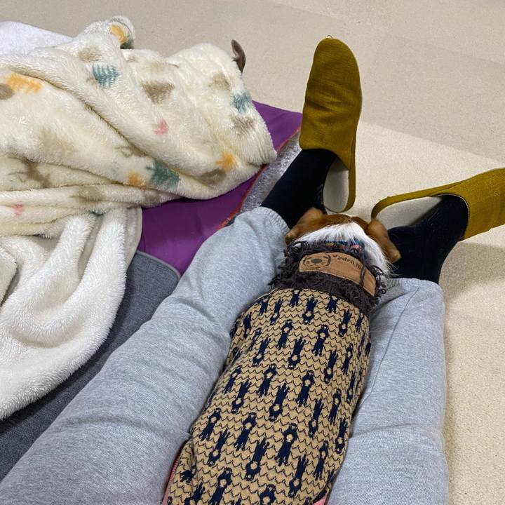 E06d8a03 7e33 4cfc 8b01 811bf84277a0 1674651839837