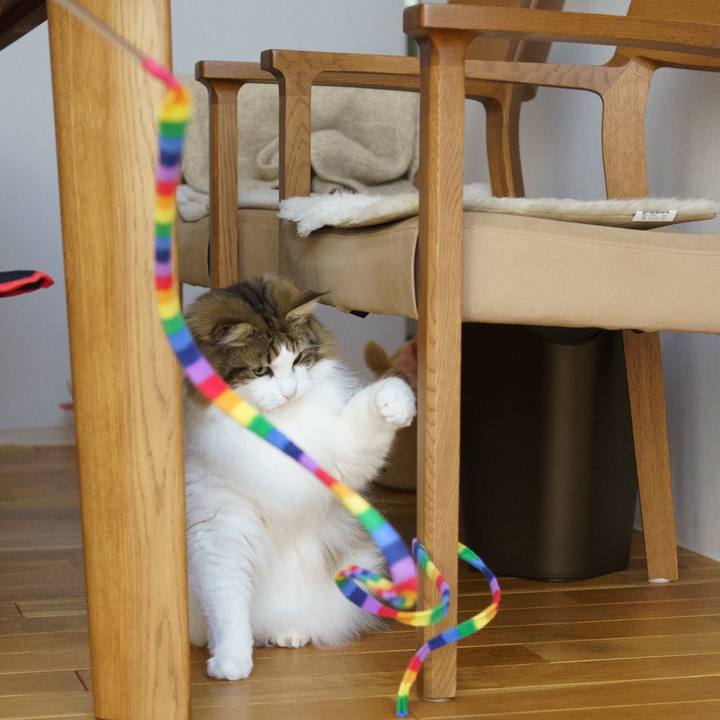 E06d8f4c a2ac 4613 b436 d44fc7bb3962 1649394543257