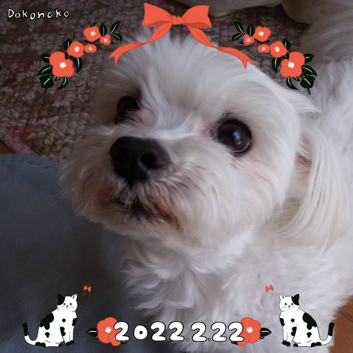 E06da5c6 7638 4d32 85b9 3857592a968a 1645512526053