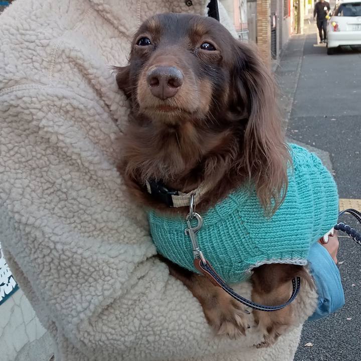 E06dd661 1193 426a 88b5 845e79246499 1765141934225