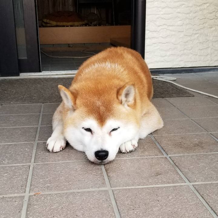 E06de639 7804 4bfa 9c18 8d82fd4aa205 1637192167485