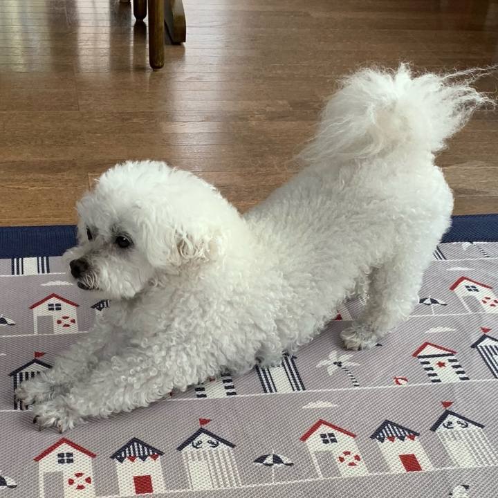 E06e2f64 a167 40ff a506 6628f6be678e 1662644833994