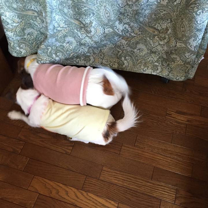 E06e7928 3c36 47c1 b724 0c5d3304febc 1510466256224