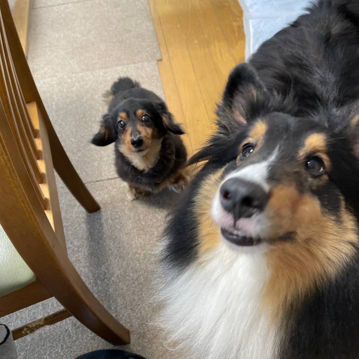 E06e8011 88a2 4280 8322 ce6fe13efee2 1621892380346