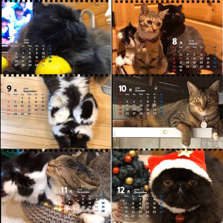 E06ea6e1 b225 4e46 bab6 508dd2b288f2 1571732574239