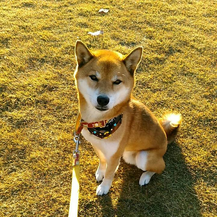 E06ed44e 453b 4017 9d50 759208e2355b 1573800917138