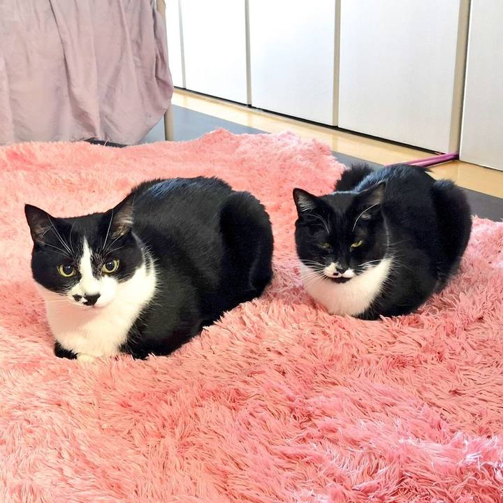 E06ef321 3f78 4576 a6db 2b99b909e6bd 1547218363253